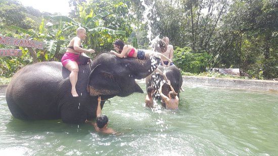 Baan Chang Hai Elephant Lovers